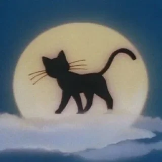 🌕