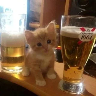 🍺