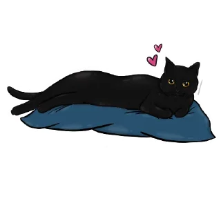😻