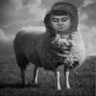 Byasha