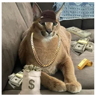 🤑