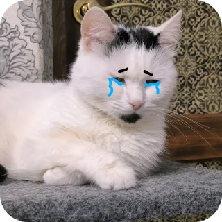 😭