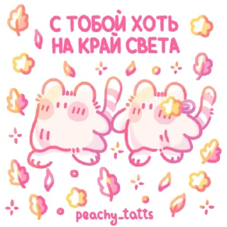 🐈