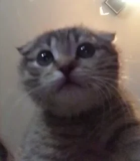 🫠