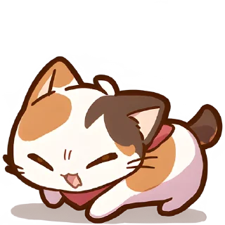 🐱