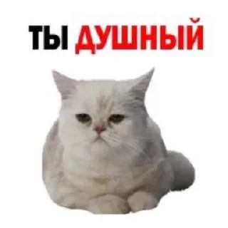👿