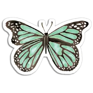 🦋