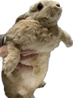 😨