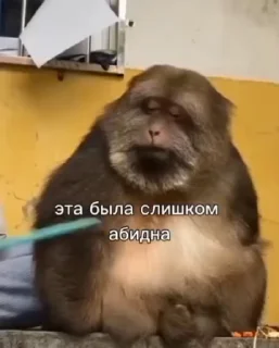 😱