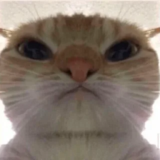 🙁