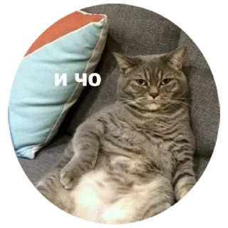 🤷