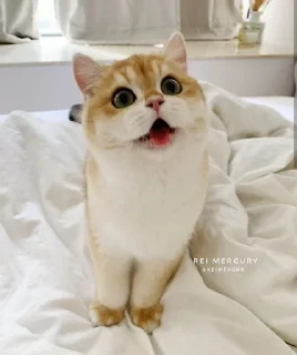 😍