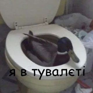 🚽