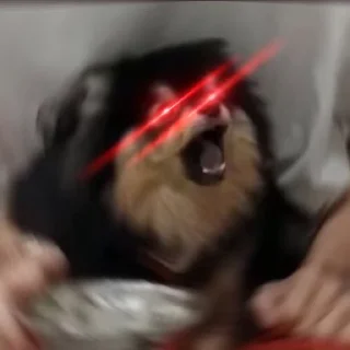 😡