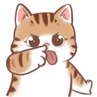 🐱