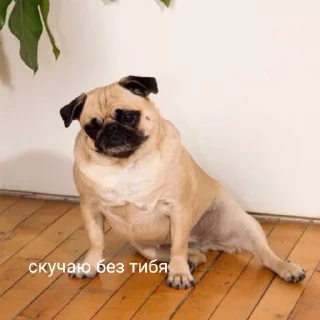 😞