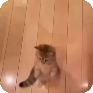 🤩