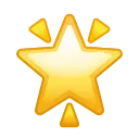🌟