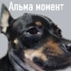 Alma moment