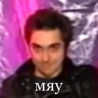 🐱