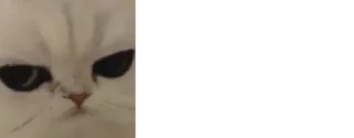 👾