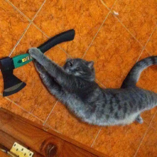 ⛏