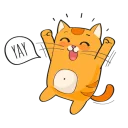 😺