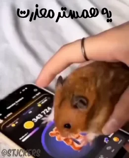😞