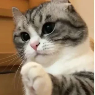 🥰