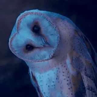 👁️‍🗨️