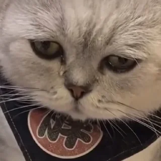 😞