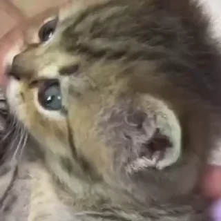 💋