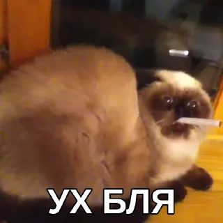 😨