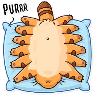 🛌