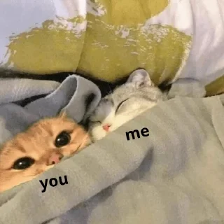 🧡