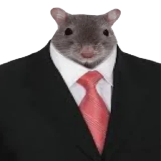 👨‍⚖️