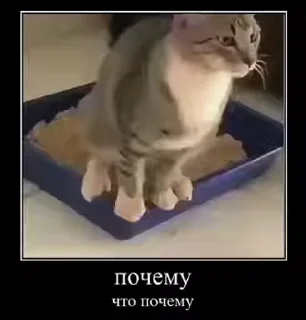 ❔