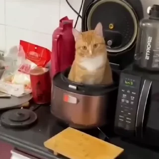 😐