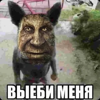 🫡