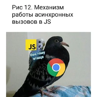 🦜