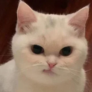 😕