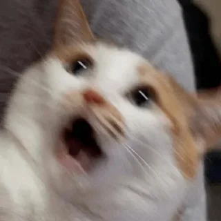 😫
