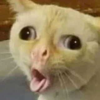 🤮