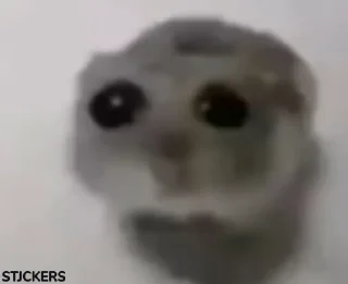 🥹