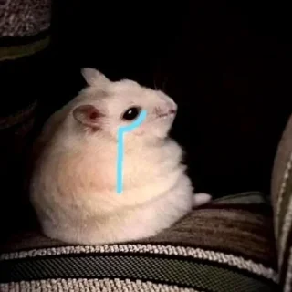 😭
