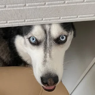 😛
