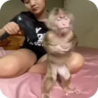 😶