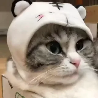 🧶
