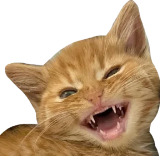 😆