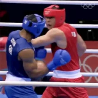🥊